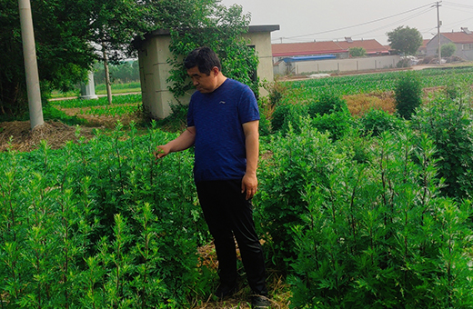 图片关键词 图片关键词