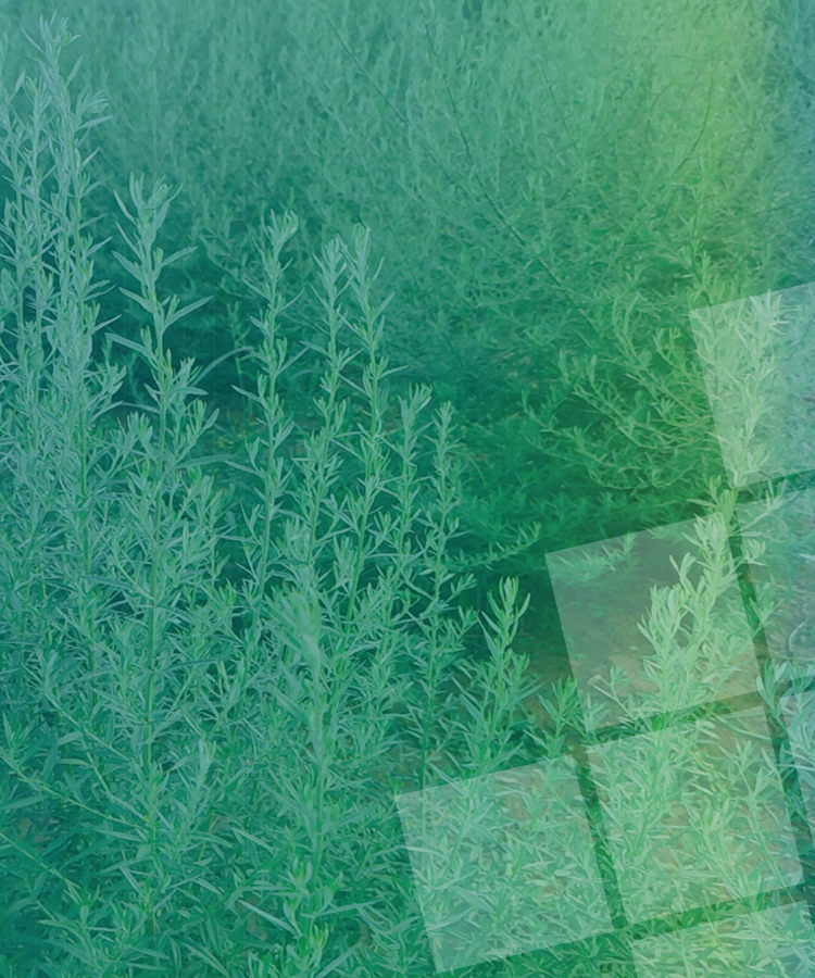 <strong>乡村旅游文化胜地</strong>